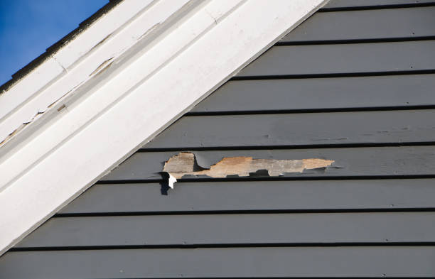 Trusted Biloxi, MS Siding Experts